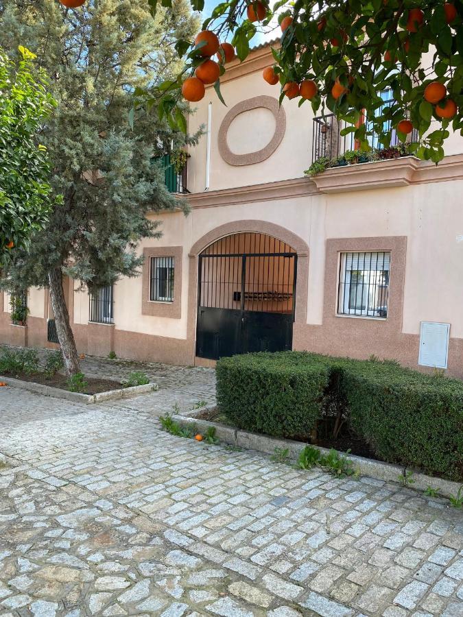 Sevilla. Gerena Casa Rural Para Familia O Profesionales Exterior foto